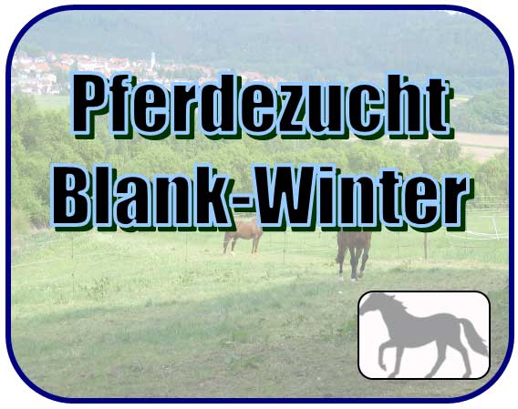 Horse breeding Blank-Winter